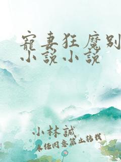 宠妻狂魔别太坏小说小说