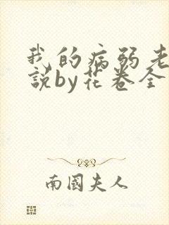 我的病弱老婆小说by花卷全文免费阅读