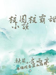 校园校霸甜宠文 小说