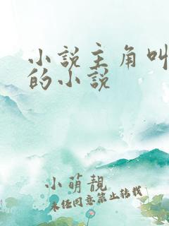 小说主角叫林霄的小说