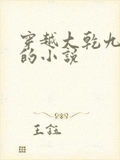 穿越大乾九皇子的小说