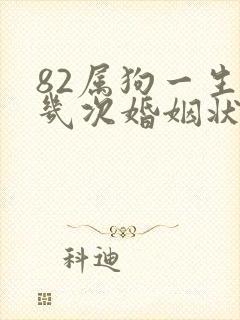 82属狗一生有几次婚姻状况