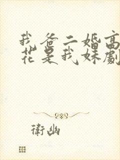 我爸二婚高冷校花是我妹剧