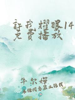 许我耀眼14集免费播放