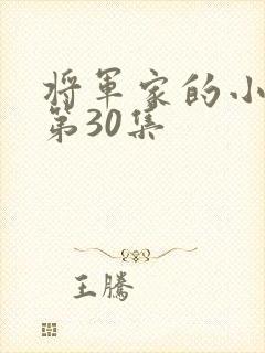 将军家的小娘子第30集