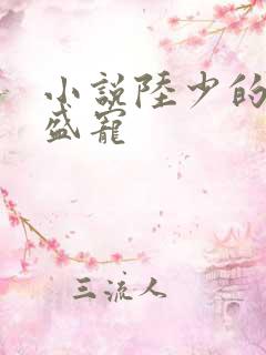 小说陆少的千亿盛宠