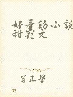 好看的小说短篇甜宠文