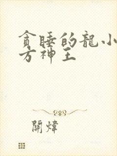 贪睡的龙小说十方神王