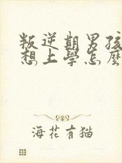 叛逆期男孩子不想上学怎么办