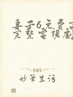 妻子6免费高清完整电视剧情