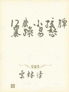 12岁小孩脾气暴躁易怒