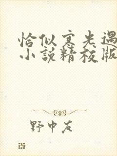 恰似寒光遇骄阳小说精校版