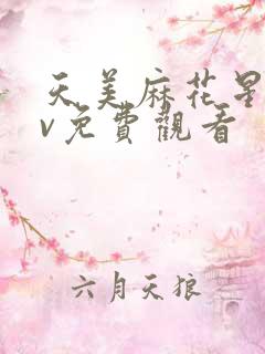 天美麻花星空mv免费观看