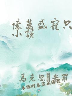 亿万盛宠只为你小说