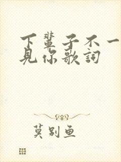 下辈子不一定遇见你歌词