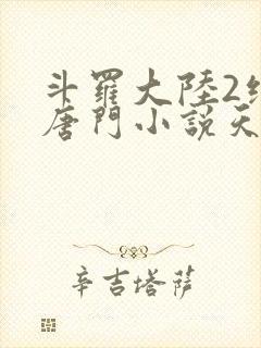 斗罗大陆2绝世唐门小说天域小说