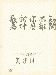 歌词你不知道我为什么离开你