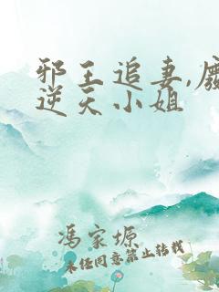 邪王追妻,废材逆天小姐