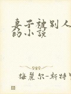 妻子被别人调教的小说