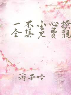 一不小心撩错人全集免费观看短剧