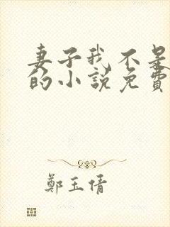 妻子我不是故意的小说免费阅读