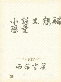 小说又想骗我谈恋爱