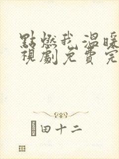 点燃我温暖你电视剧免费完整版观看