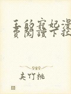 王的宠妃漫画免费阅读下拉式