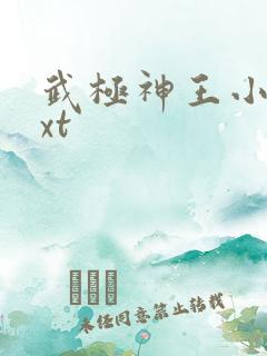 武极神王小说txt