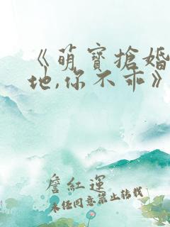 《萌宝抢婚:爹地,你不乖》