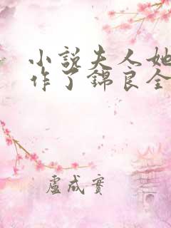 小说夫人她又开作了锦良全文下载