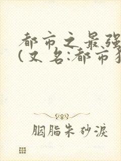 都市之最强狂兵(又名:都市狂枭) 大红大紫