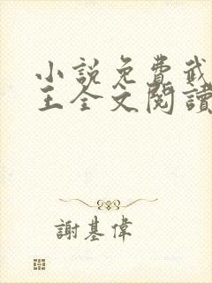 小说免费武极神王全文阅读