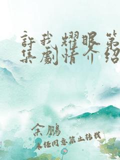 许我耀眼第13集剧情介绍