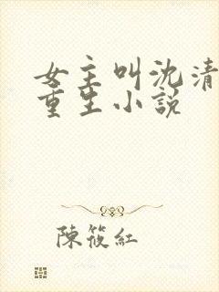 女主叫沈清梨的重生小说