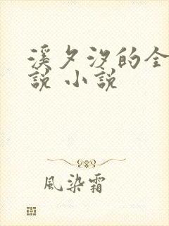 溪夕汐的全部小说 小说