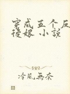 穿成五个反派的后娘 小说