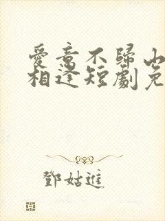 爱意不归山水不相逢短剧免费播放