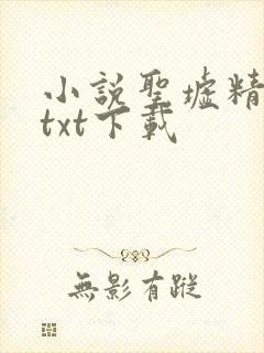 小说圣墟精校版txt下载