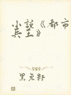 小说《都市最强兵王》