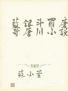 蓝银斗罗唐三哥哥唐川小说