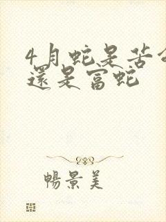 4月蛇是苦命蛇还是富蛇