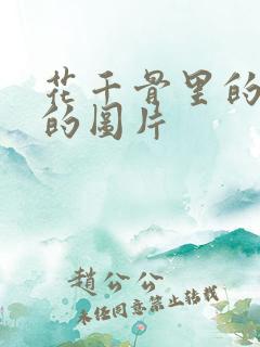 花千骨里的糖宝的图片