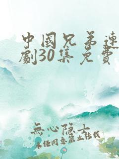 中国兄弟连电视剧30集免费观看