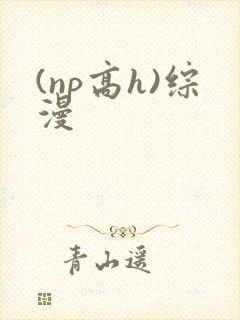 (np高h)综漫