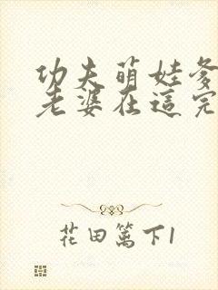 功夫萌娃爹地你老婆在这完整版短剧