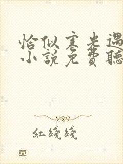 恰似寒光遇骄阳小说免费听书在线