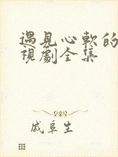 遇见心软的神电视剧全集