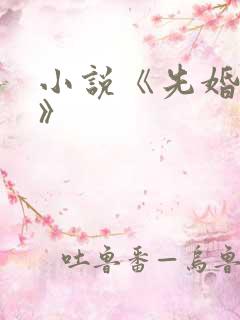 小说《先婚后爱》