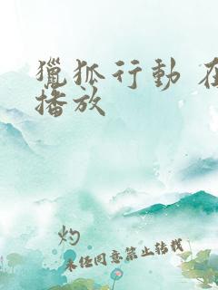 猎狐行动 在线播放